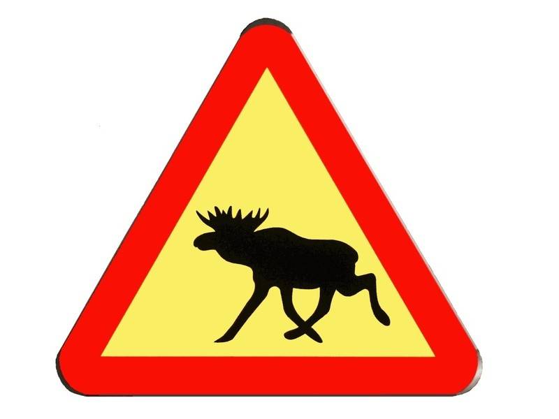 Schwedische Küche