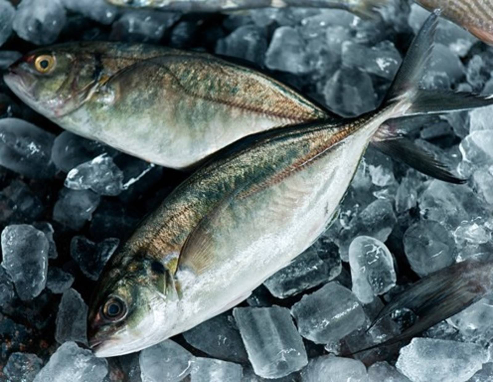 Aji