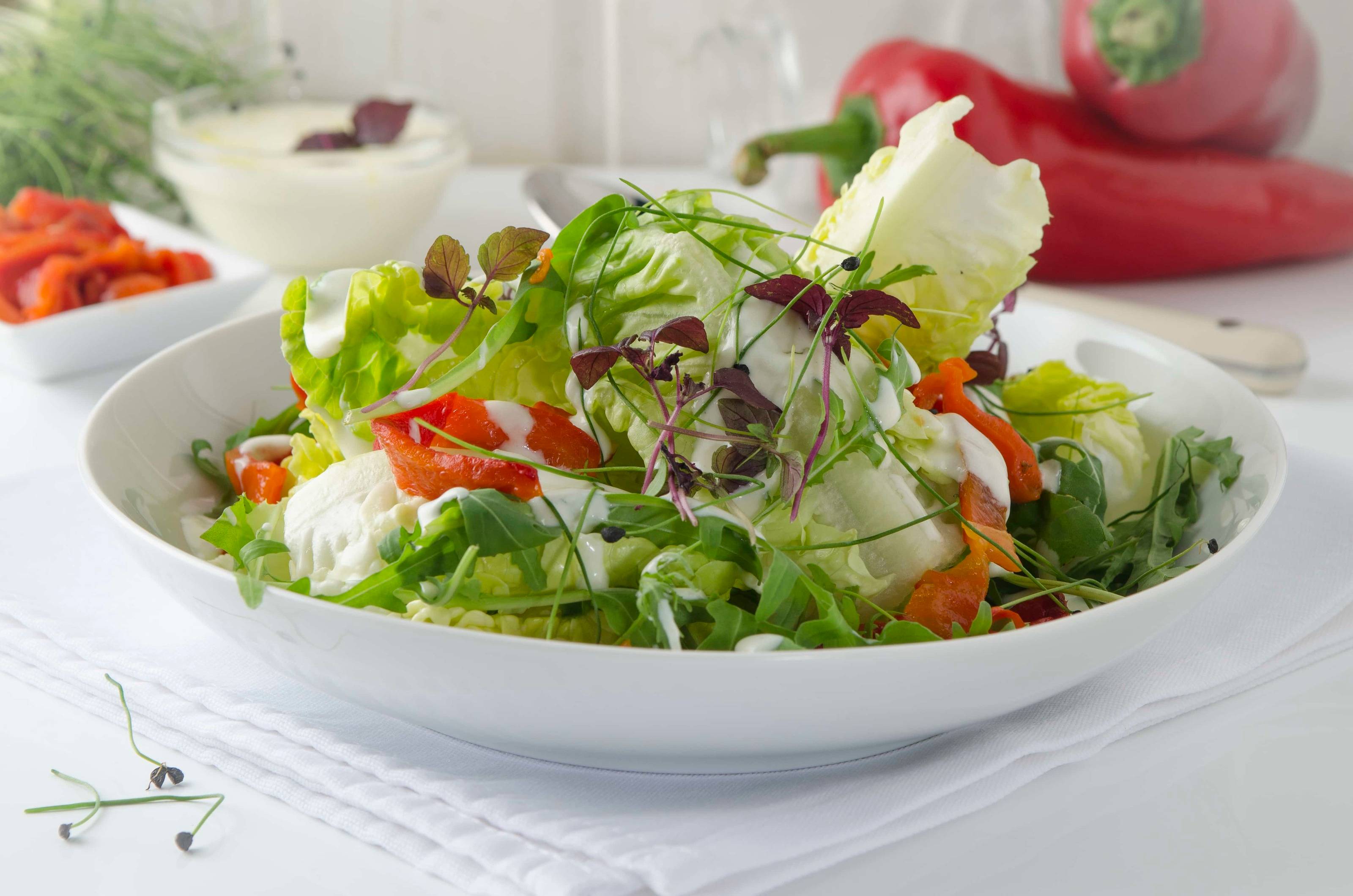 Salat Rezepte