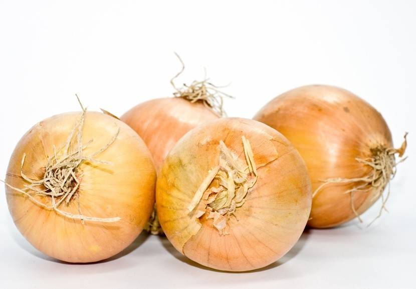 Zwiebel Rezepte