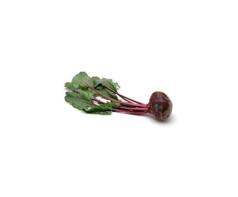 Rote Rübe 