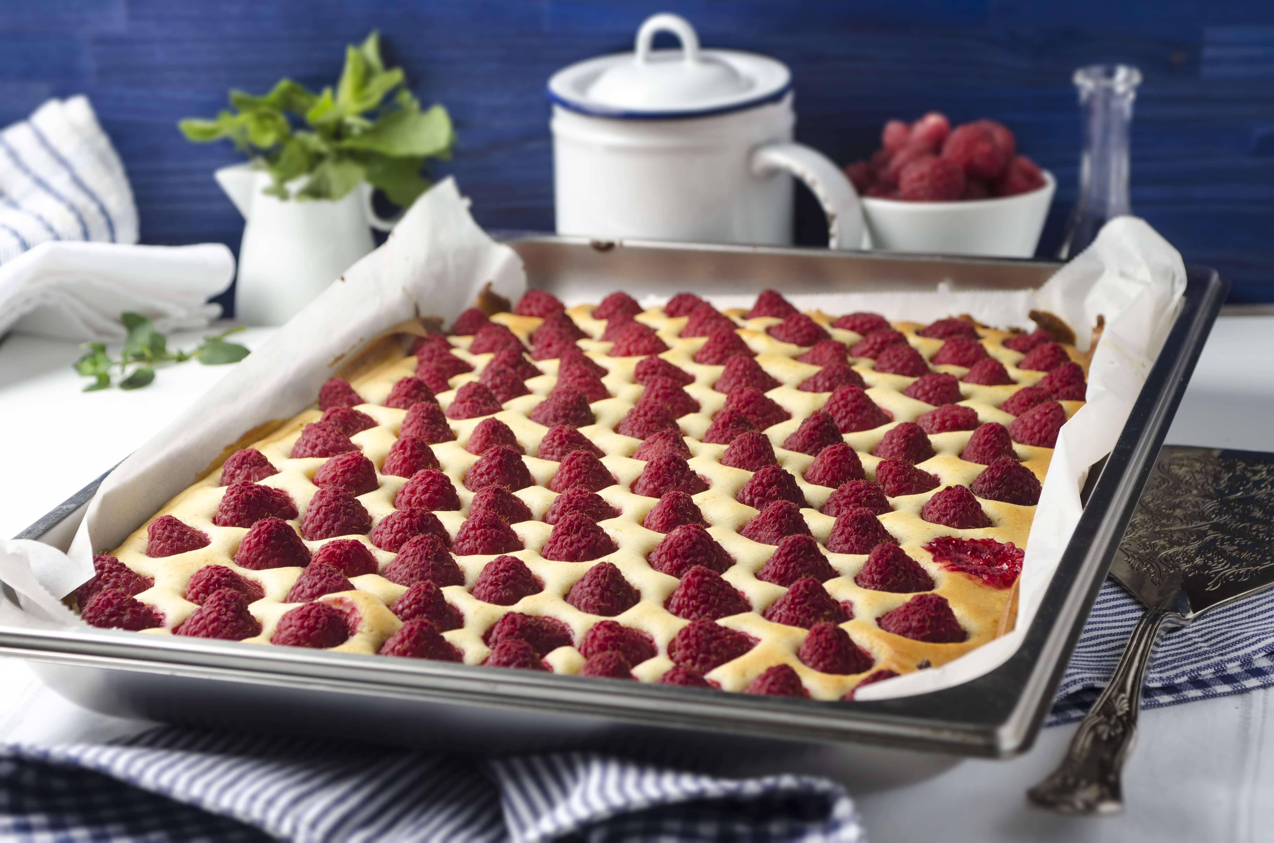 Blechkuchen Rezepte