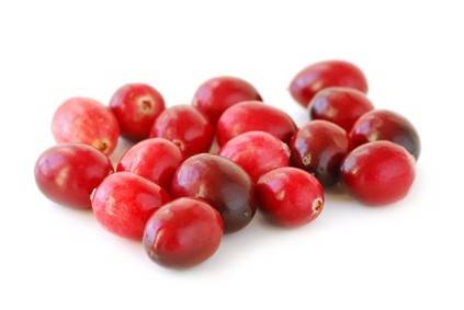 Preiselbeeren Rezepte