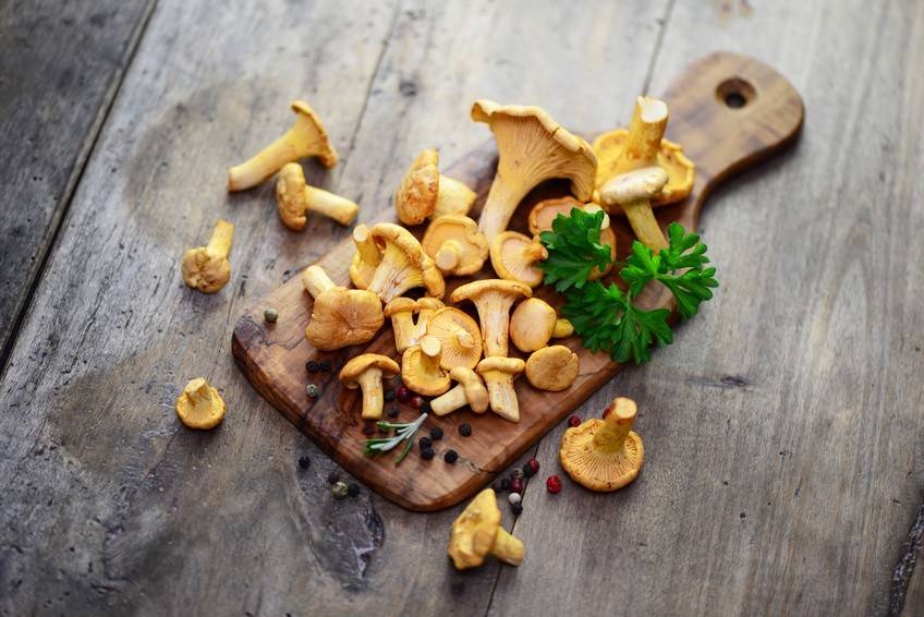 Eierschwammerl Rezepte