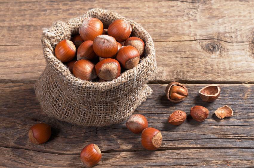 Haselnuss Rezepte
