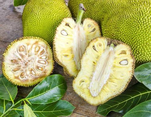 Jackfruit
