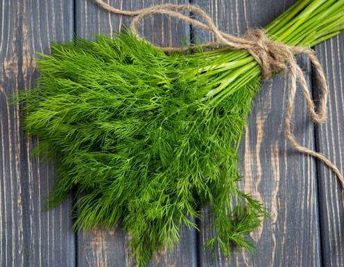 Dill