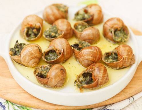Schnecken Rezepte