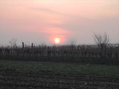 Die schönsten Bilder aus dem Neusiedlersee Hügelland