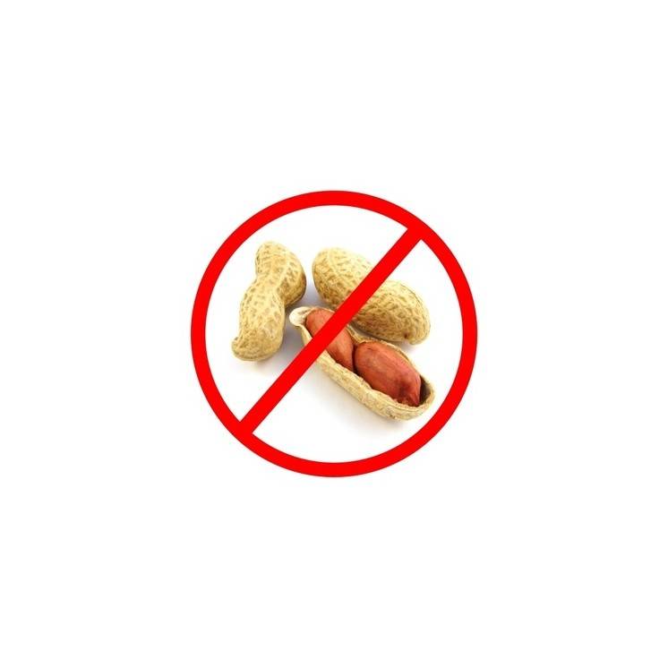 Nahrungsmittelunverträglichkeiten Rezepte