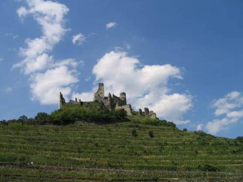 Weinbaugebiet NIEDERÖSTERREICH