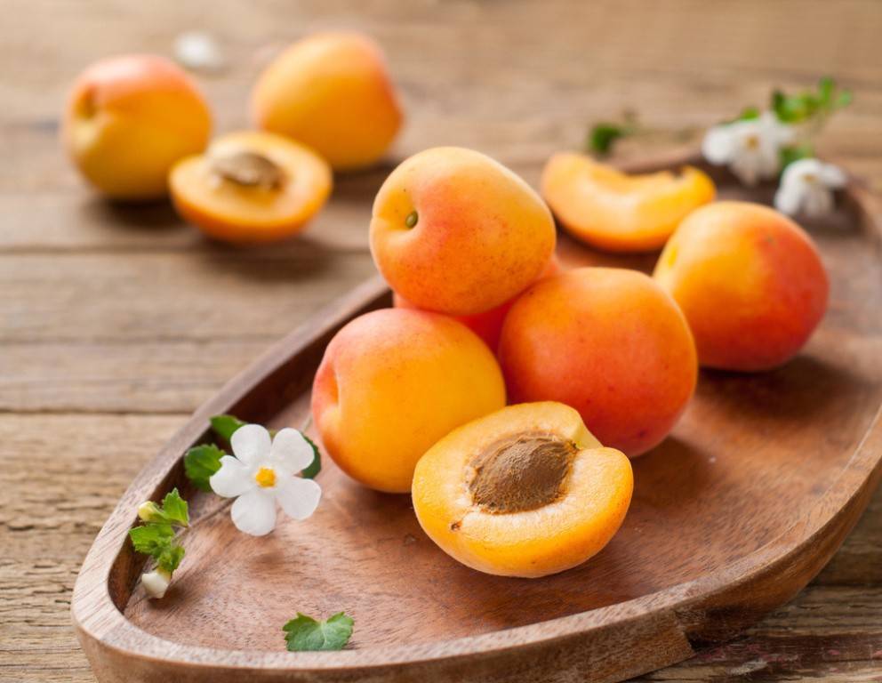 Marillen Rezepte
