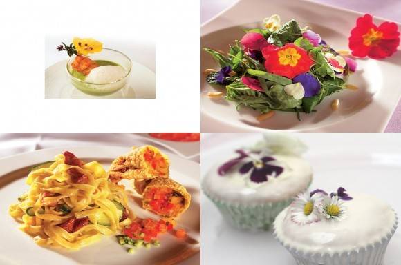 Menü mit Blumen & Blüten