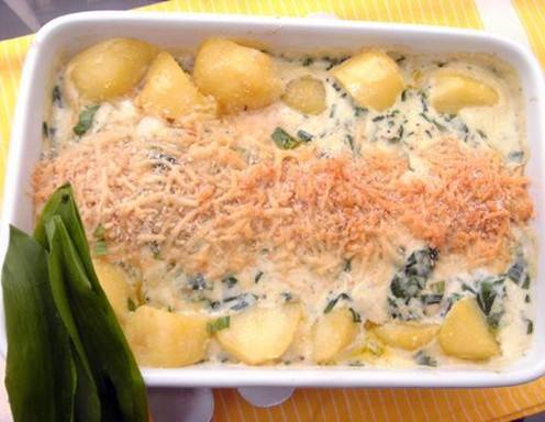 Bärlauchschnitzel Rezept