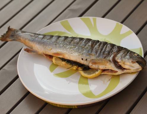 Saibling Rezepte