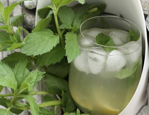 Mojito Rezept