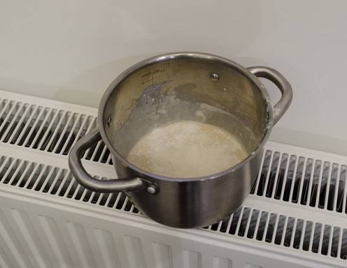 Das Dampfl an einem warmen Ort gehen lassen.