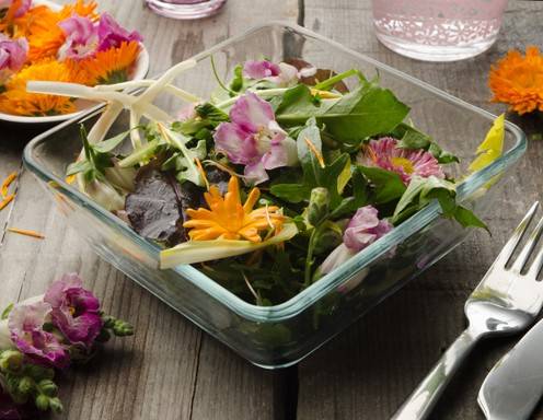 Blumen & Blüten Rezepte