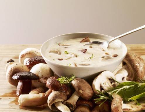 Steinpilze Rezepte