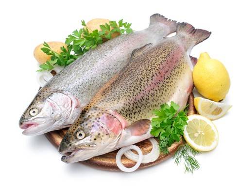Forellen Rezepte