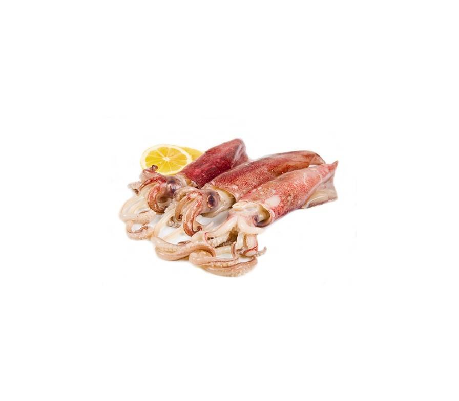Calamari Rezepte