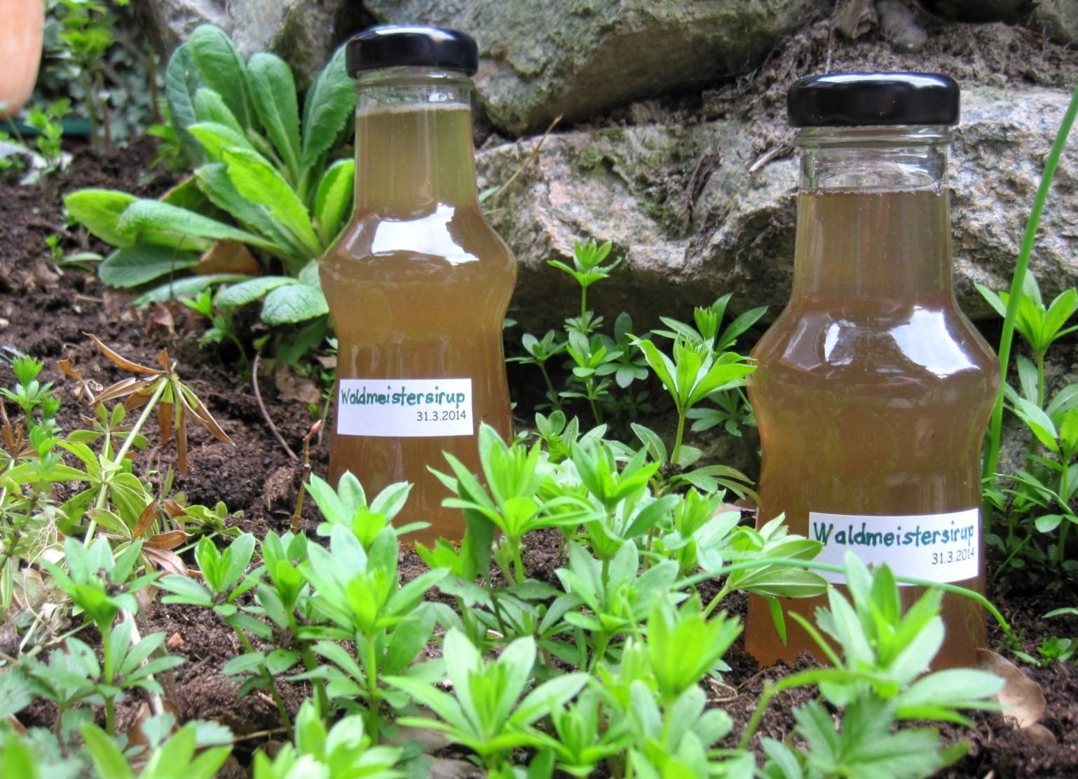 Waldmeistersirup