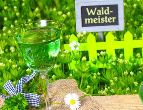 Waldmeister