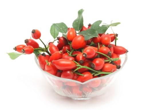 Hagebutte Rezepte