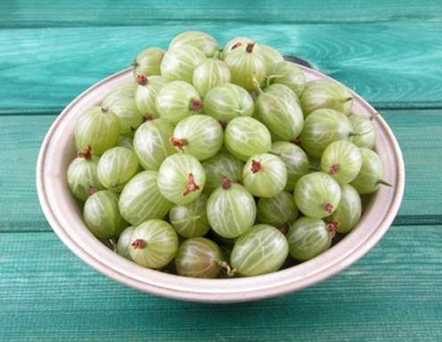 Stachelbeeren Rezepte