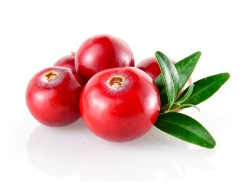 Cranberry Rezepte