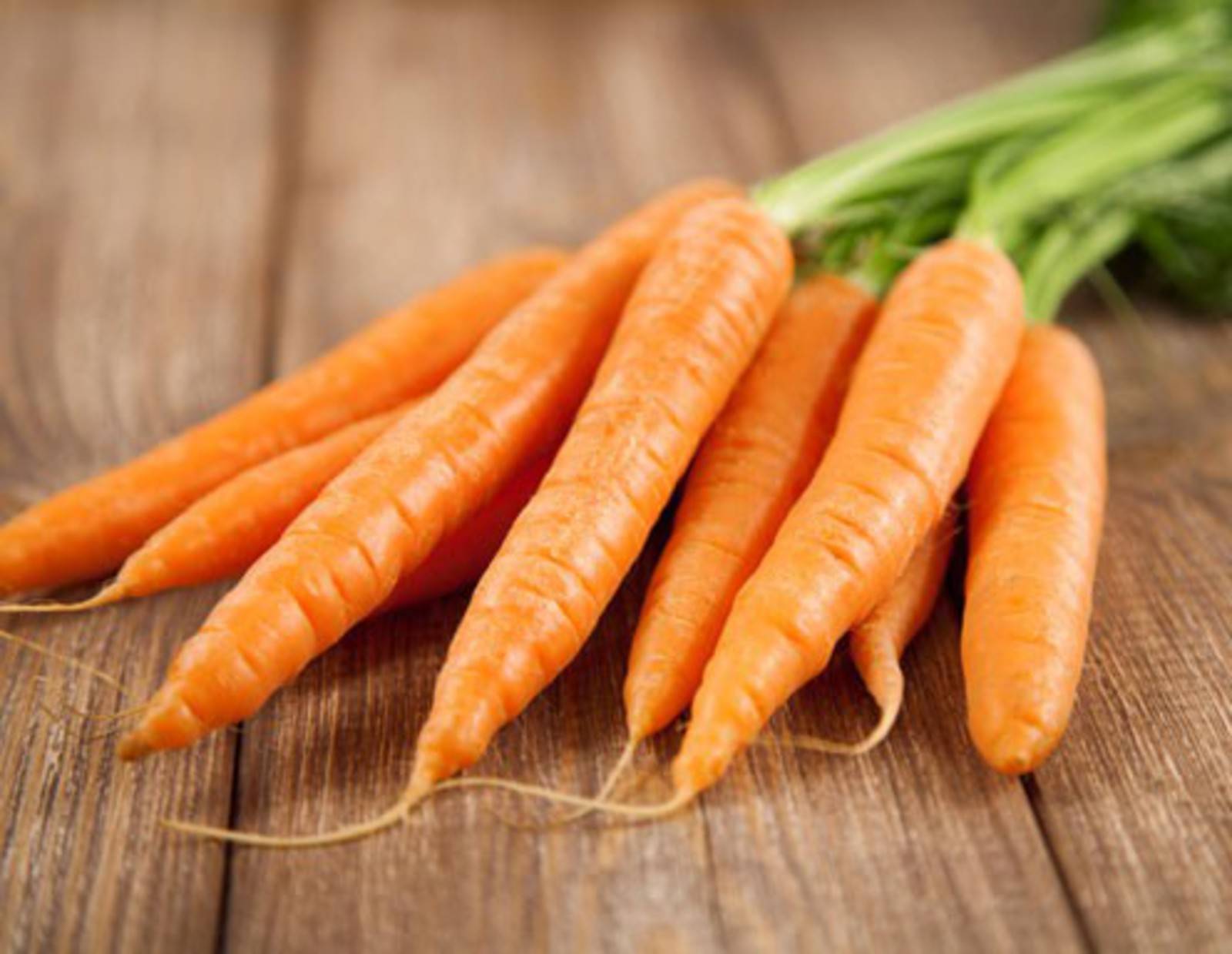 Karotten Rezepte