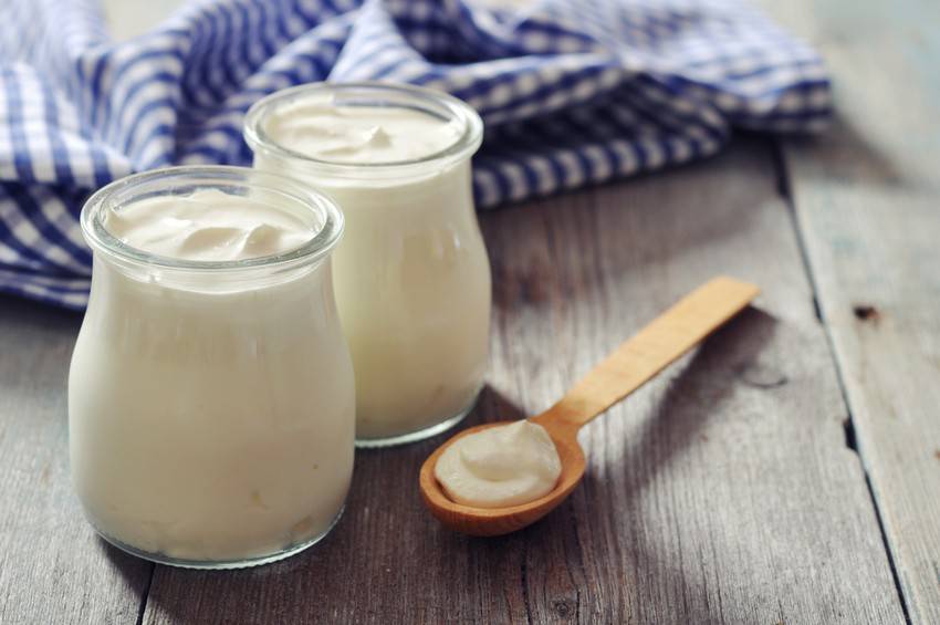 Joghurt Rezepte