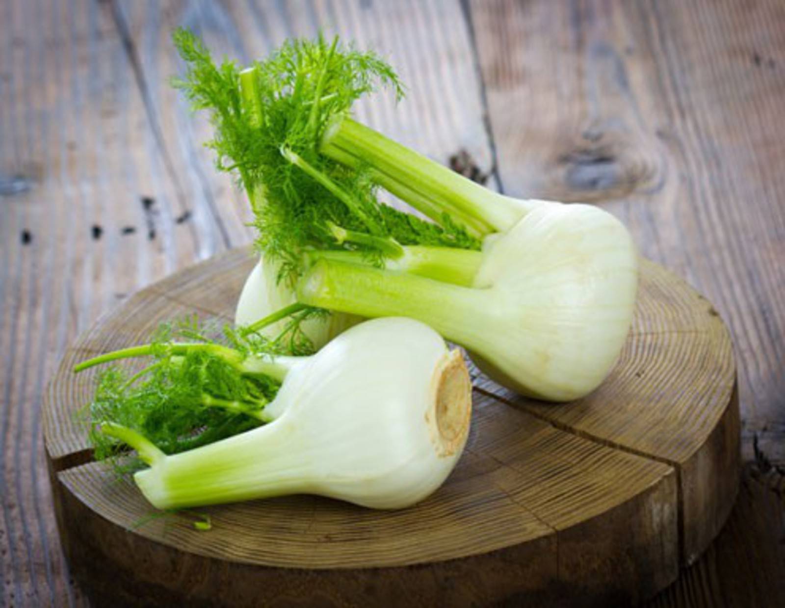 Fenchel Rezepte