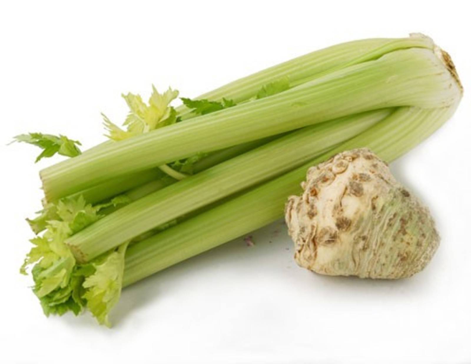 Sellerie Rezepte
