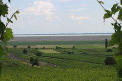 Neusiedlersee Hügelland