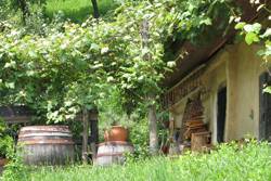 Die schönsten Bilder aus dem Südburgenland