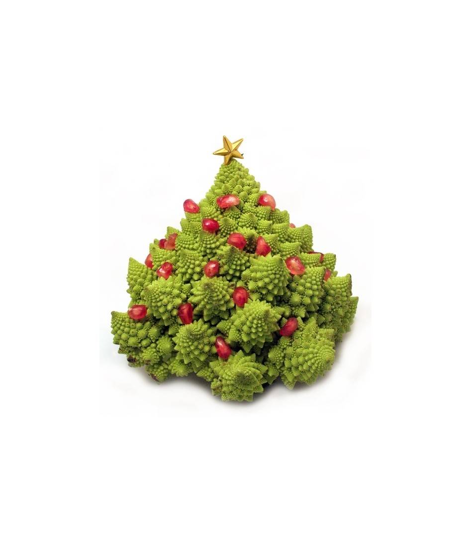 Weihnachten Rezepte
