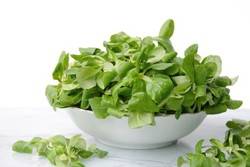 Vogerlsalat