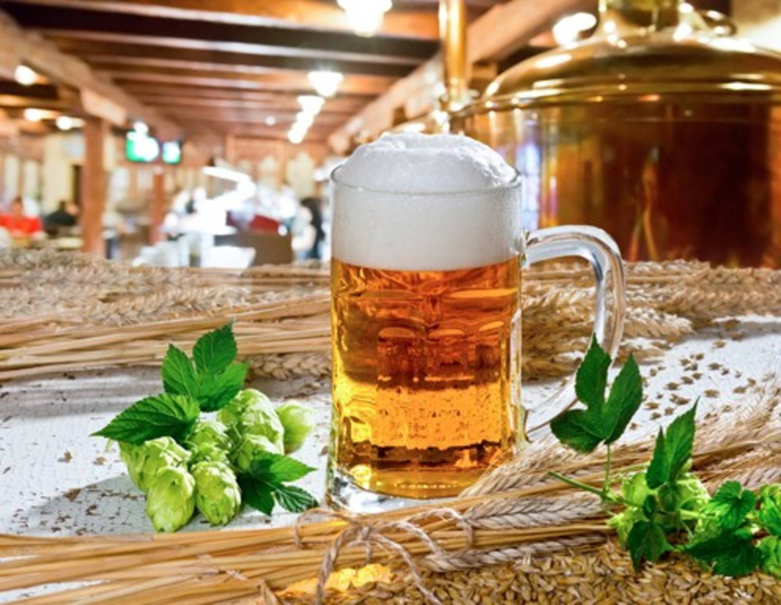 Bier Rezepte