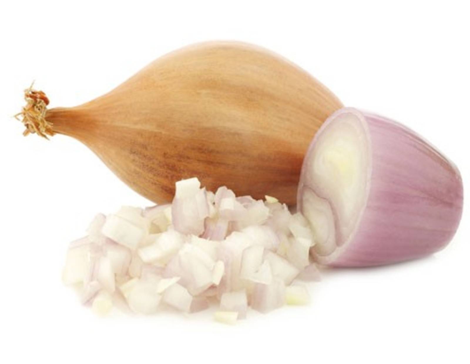 Schalotten Rezepte