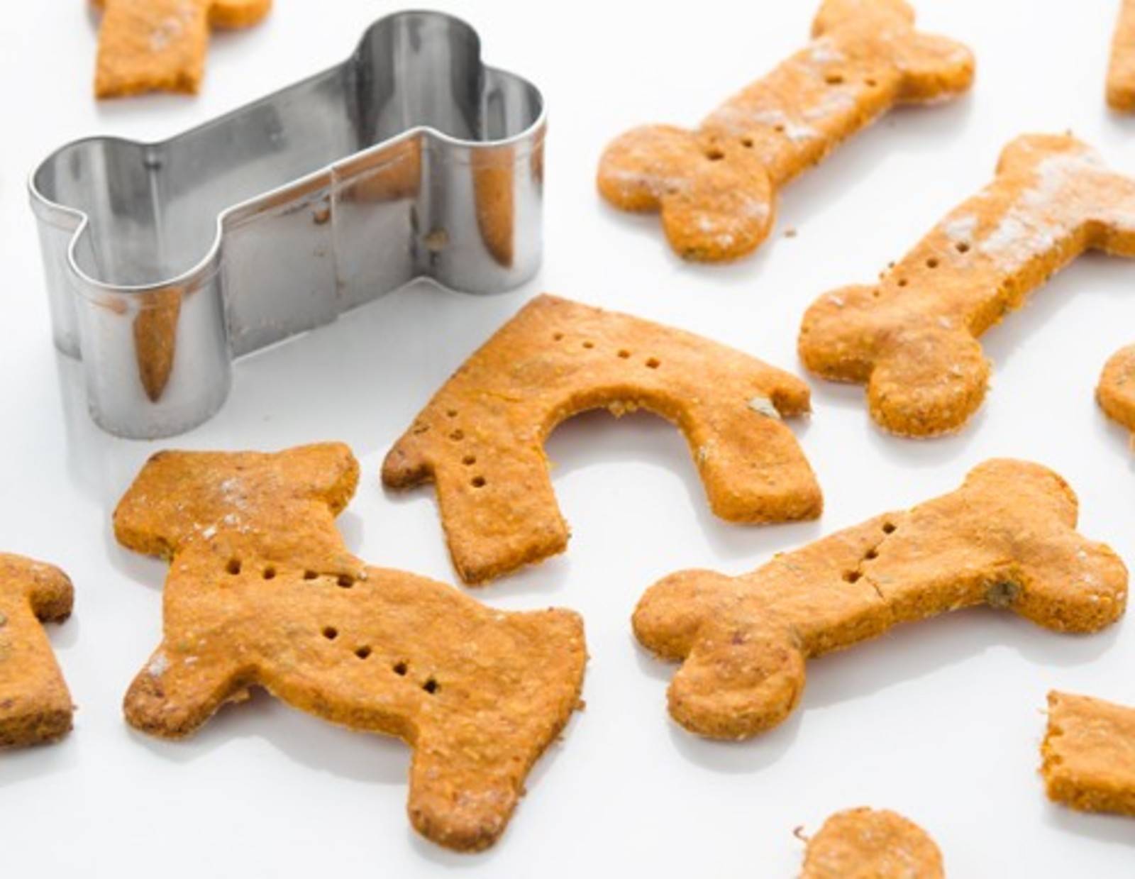 Kochen für meinen Hund