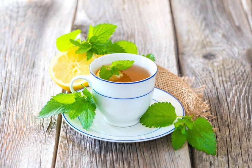 Zitronenmelisse Rezepte