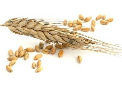 Gluten