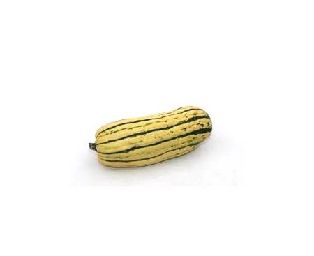 Delicata