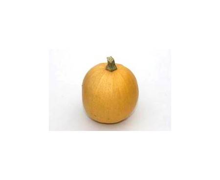 Melonette Jaspèe de Vendèe