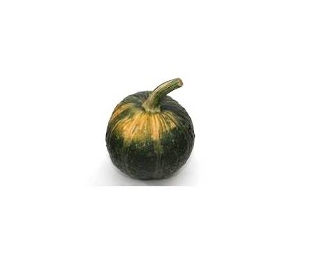 Ölkürbis