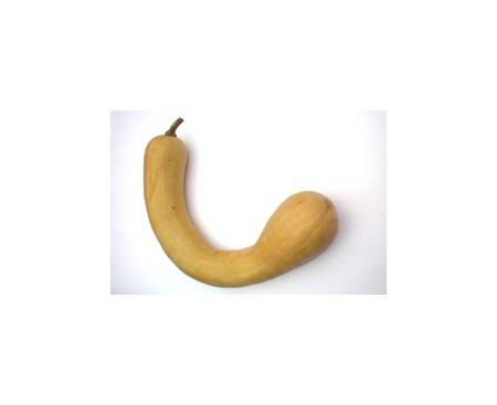 Trombolina d'Albenga