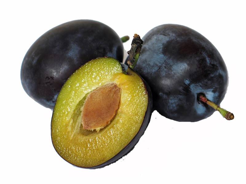 Zwetschken Rezepte