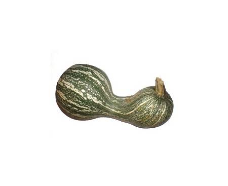 Cushaw Green Striped
