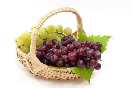 Wein Rezepte